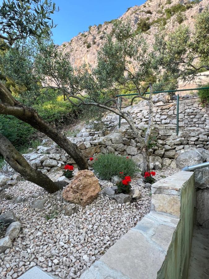 Villa Pelargonia Makarska Zewnętrze zdjęcie